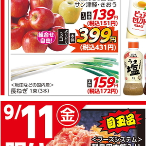 ながねぎ