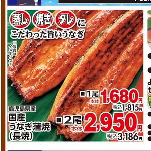 うなぎの蒲焼き