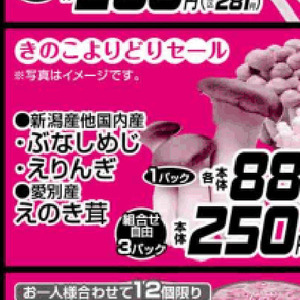 エリンギ