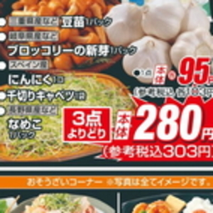 ブロッコリースプラウト