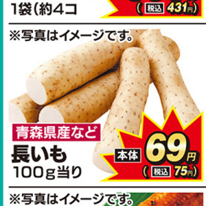 ながいも