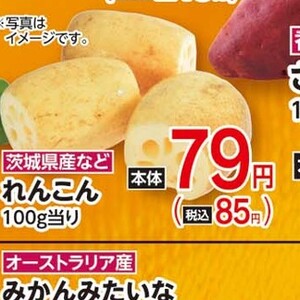 レンコン