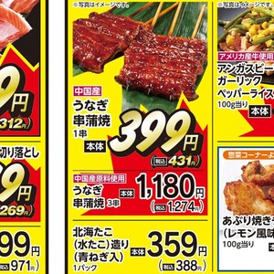 うなぎの蒲焼き