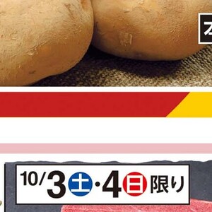 ほたて（ベビー）