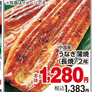 うなぎの蒲焼き
