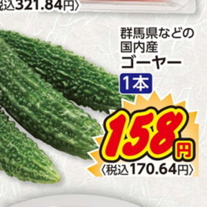 ゴーヤ