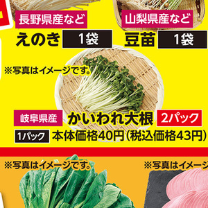 カイワレ大根