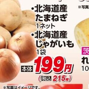 たまねぎ