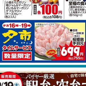 鶏手羽先
