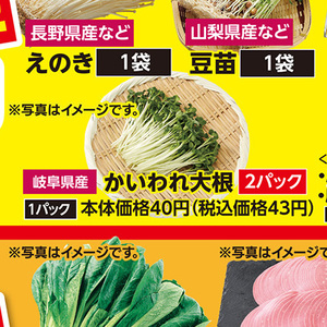 カイワレ大根