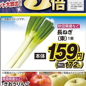 ながねぎ