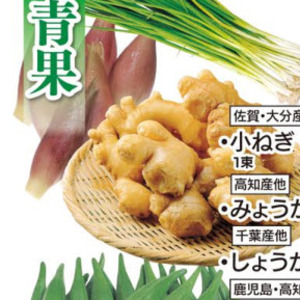 小葱