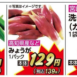 みょうが