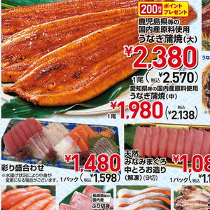 うなぎの蒲焼き