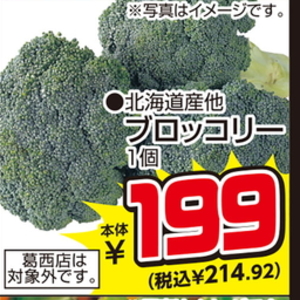 ブロッコリー