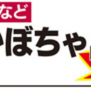 かぼちゃ