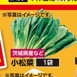 こまつ菜