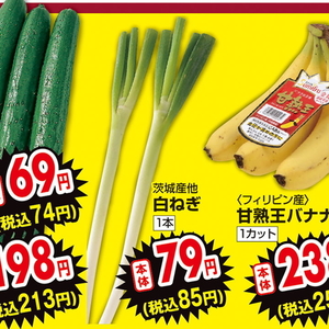 ながねぎ