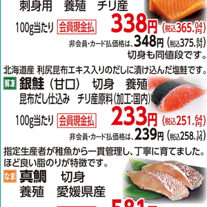 さけ（切り身）