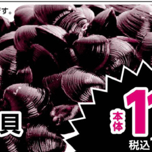 しじみ