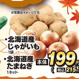 たまねぎ