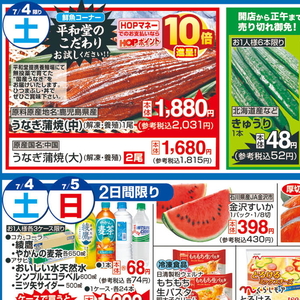うなぎの蒲焼き
