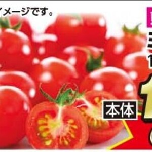ミニトマト