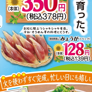 みょうが