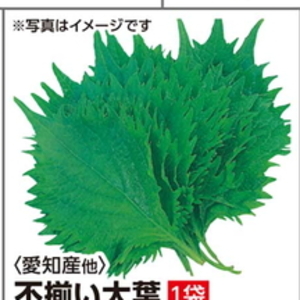 おおば