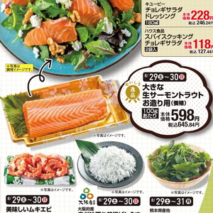 サーモン（刺身）