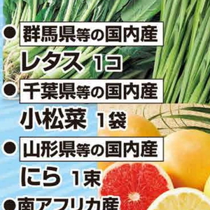 こまつ菜