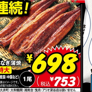 うなぎの蒲焼き