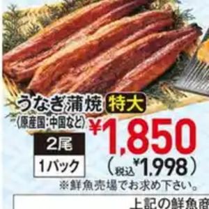 うなぎの蒲焼き