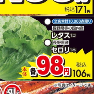 セロリ