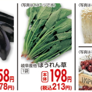 ほうれん草