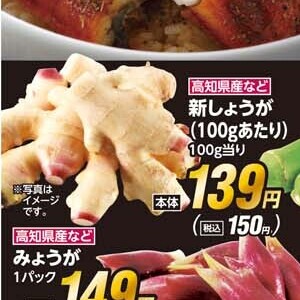 新生姜