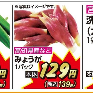 みょうが
