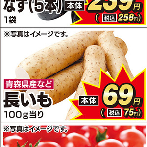 ながいも