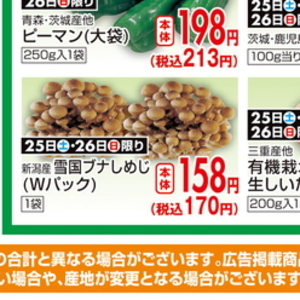 しいたけ