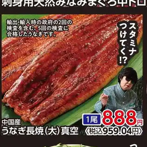 うなぎの蒲焼き