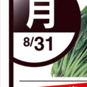 こまつ菜