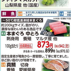 まぐろ中とろ