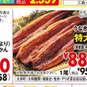 うなぎの蒲焼き