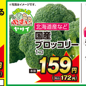 ブロッコリー