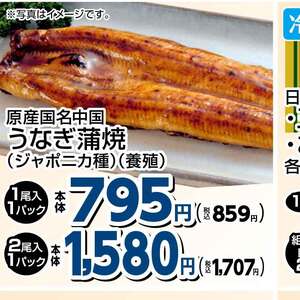 うなぎの蒲焼き