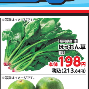 ほうれん草