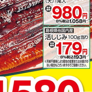 しじみ