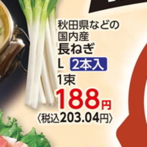 ながねぎ