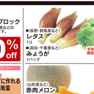みょうが