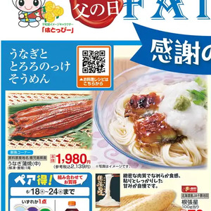 うなぎの蒲焼き